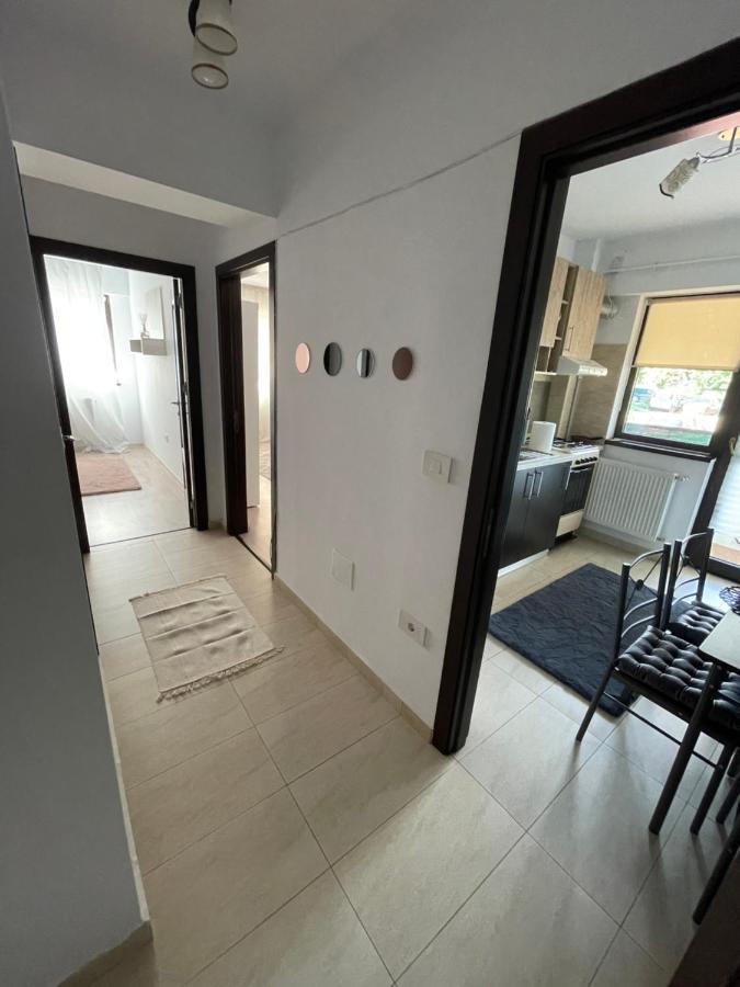 Ferienwohnung The Mirror - Quiet & Friendly Place In Copou Iasi Exterior foto